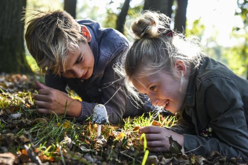 Foto bij nieuwsitem Onderzoek - Waarde Recreatie & Toerisme 