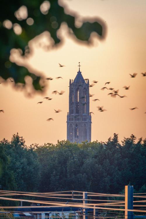 Foto bij nieuwsitem Iedere doelgroep ziet een ander Utrecht